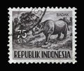 Stamp printed in Indonesia shows Sumatran Rhinoceros Dicerorhinus sumatrensis, Fauna series