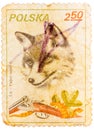 Stamp printed in Poland shows image of a fox and shotgun