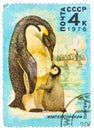 Stamp printed by Russia, shows Emperor penguin and chick