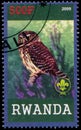 Stamp printed by Rwanda shows Owl Royalty Free Stock Photo