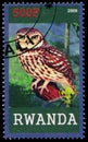 Stamp printed by Rwanda shows Owl Royalty Free Stock Photo