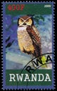 Stamp printed by Rwanda shows Owl Royalty Free Stock Photo