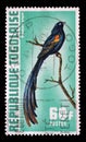 Stamp printed in Togo shows Diatropura progne, Exotic birds Royalty Free Stock Photo