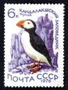 Stamp printed in USSR shows image of Atlantic Puffin