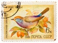 Stamp printed in USSR, shows Siberian Tit (Leptopoecile sophiae), series Song birds