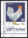 Stamp printed in Vetnam shows Leghorn rooster