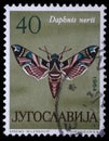 Stamp printed in Yugoslavia shows butterfly
