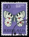 Stamp printed in Yugoslavia shows butterfly