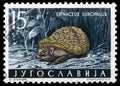 Stamp printed in Yugoslavia shows the European Hedgehog