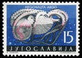 Stamp printed in Yugoslavia shows the octopus