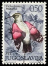 Stamp printed in Yugoslavia shows the Wallcreeper