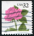 Stamp rose