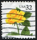 Stamp rose