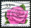 Stamp rose
