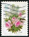 Stamp rose