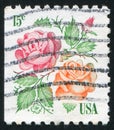 Stamp rose