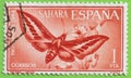 Stamp Spanish Sahara