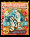 A large, ornate 1897 charity stamp from New South Wales, Australia Royalty Free Stock Photo