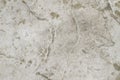 Stamped concrete floor texture or background Royalty Free Stock Photo