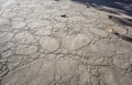 Stamped concrete pavement outdoor, boulders stones pattern, flooring exterior, decorative gray color and texture of cement paving Royalty Free Stock Photo