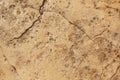 Stamped pattern concrete background