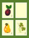 Stamps with fruits, cdr vector