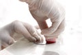 Stamps nail beautician applies the lacquer on plaque