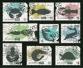 Stamps on the theme of sea life animals