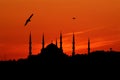 blue mosque at sunset in the evening. Royalty Free Stock Photo