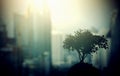 Stand alone tree with buildings and skyscrapers in the background. .Silhouette black and white or dark and brooding view of bare