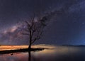 The stand alone tree under starry night clearly with milky way Royalty Free Stock Photo