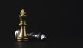 Stand of golden king chess and fallen silver king chess. Winner of business competition and marketing strategy planing concept