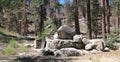 Boulders in the Forest near Big Bear Lake