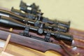 Stand with hunting rifles with telescopic sights Royalty Free Stock Photo