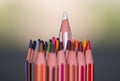 Stand out from the Crowd. Color pencils macro Royalty Free Stock Photo