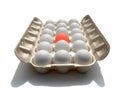 Stand out - eggstraordinary egg Royalty Free Stock Photo