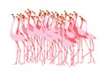 Stand of pink flamingoes. Flock of birds. Simple flat style