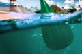 Stand up paddle boarding oar in water