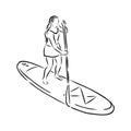 Stand up paddle surfing, boarding. Single female surfer with paddle. Surfrider girl on board. Paddleboarding, SUP