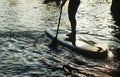 Stand up paddle surfing silhouette. a man stands with a paddle on a Board closeup,