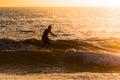 Stand up paddler silhouette at sunset Royalty Free Stock Photo