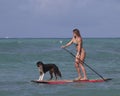 Stand-Up Paddling with pet Royalty Free Stock Photo