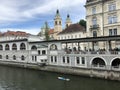 Stand Up Peddle at the Ljubljanica river