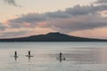 Stand up surfers and Rangitoto Island at sunset Royalty Free Stock Photo