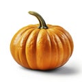 A standalone pumpkin against a white canvas, ideal for your seasonal projects