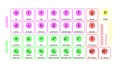 Standard Model of Elementary Particles