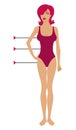 Standard of proportions of the female figure. Silhouette of a female figure in a sports swimsuit. Vector image