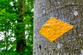 Standard Swiss hiking trail marker on a tree Royalty Free Stock Photo
