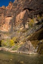 Standart view in the narrows of the Virgin river