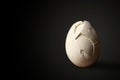 Standig Broken Egg Royalty Free Stock Photo